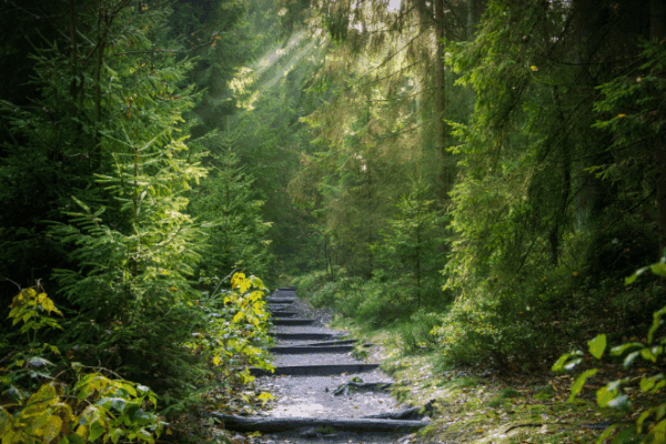 How to Succeed in Sales as an Introvert